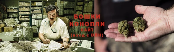 гидра Белоозёрский