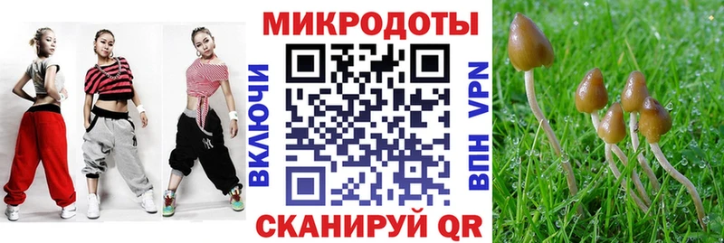 ссылка на мегу маркетплейс  Ефремов  Галлюциногенные грибы мицелий 